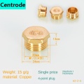 4 point copper plug5