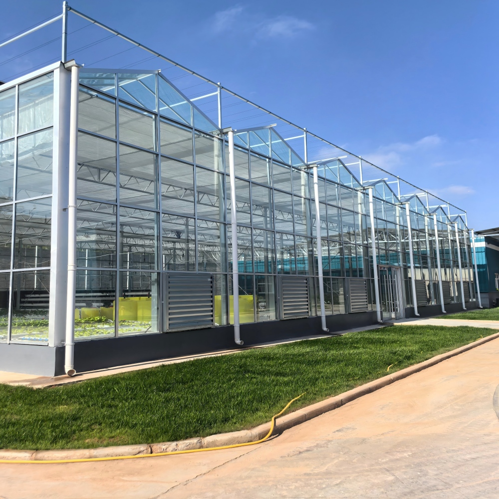 Glass Greenhouse-2