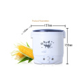 1L Electric Mini Rice Cooker MultiCookers Portable Rice Cooker With Household 220V Car 12V Truck 24V Multi cooking Lunch Box