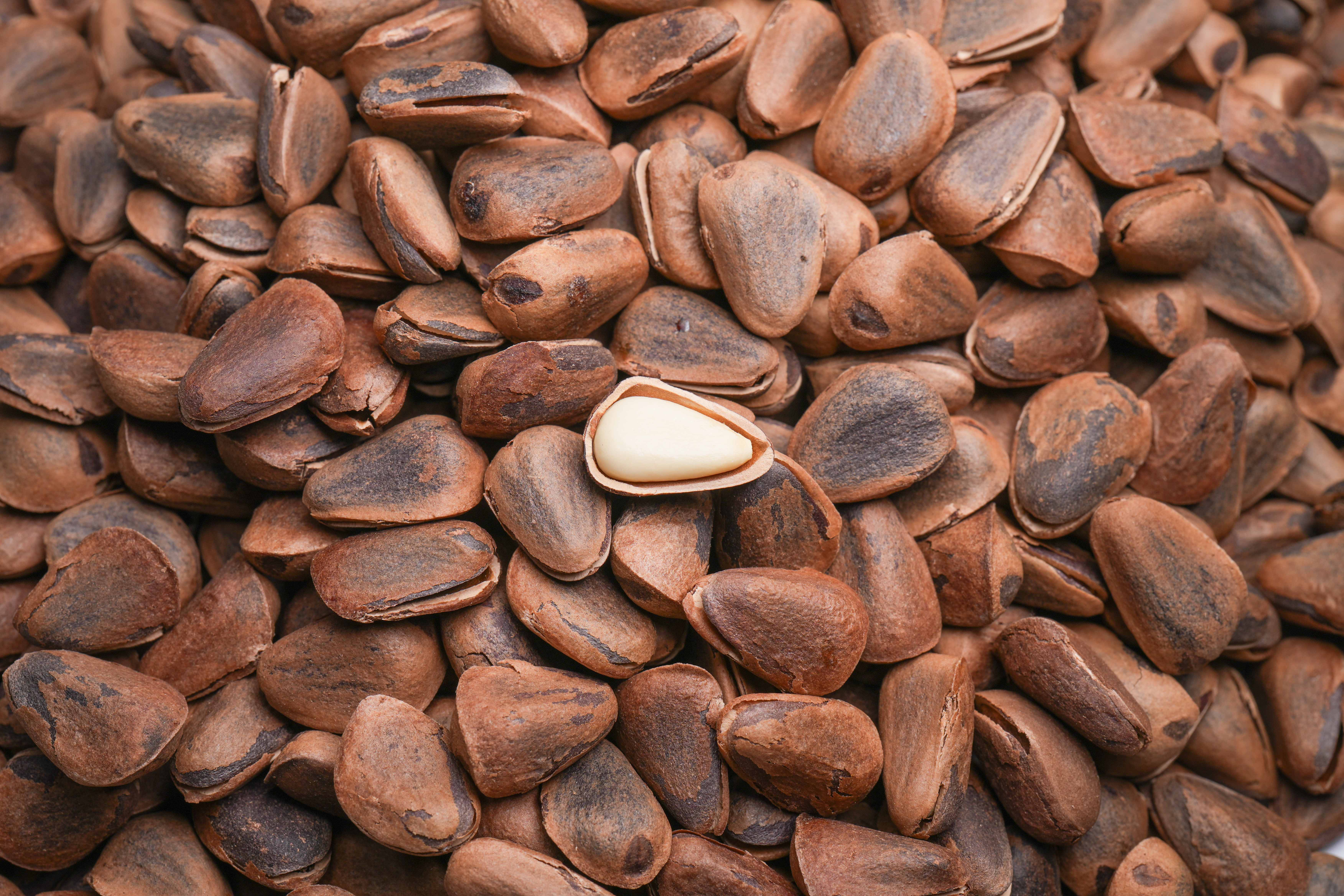 Delicious Roasted Pine Nut