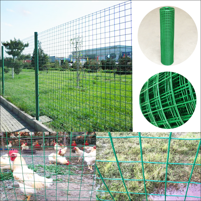 Welded Wire Mesh 6