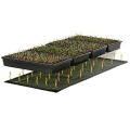 Seedling Heating Mat 50x25cm Waterproof Plant Seed Germination Propagation Clone Starter Pad 110V/220V Garden Supplies 1 Pc