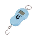 Portable hoist scale 50kg hoist scale portable hook scale pull ring electronic scale kitchen scale