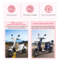 BENOD Electric Scooter Biker Electric Motor High-Speed High-Endurance Lithium Battery Electric Motorcycle Scooter Motor Moped