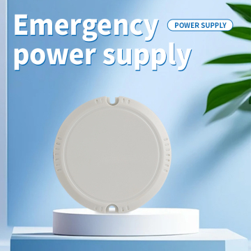 Integrated Emergency Power Supply