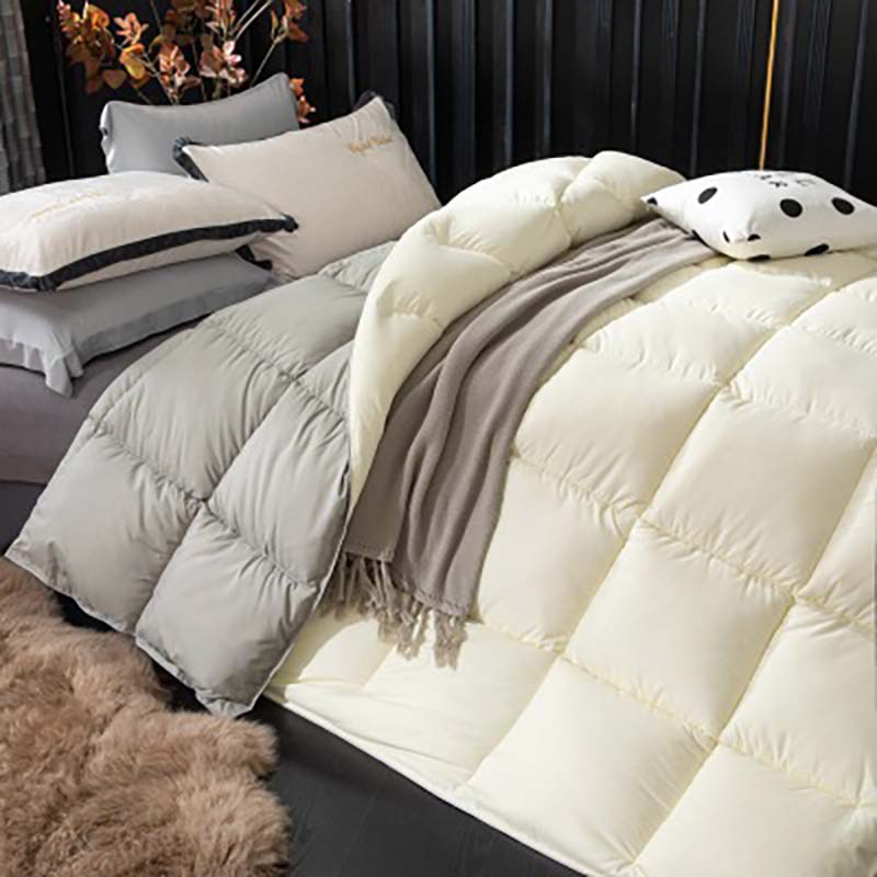 1.5~5kg Goose Down Duvet Comforter Blanket for Winter White Cover Quilt King Queen Twin Size White/Blue/Pink/Brown