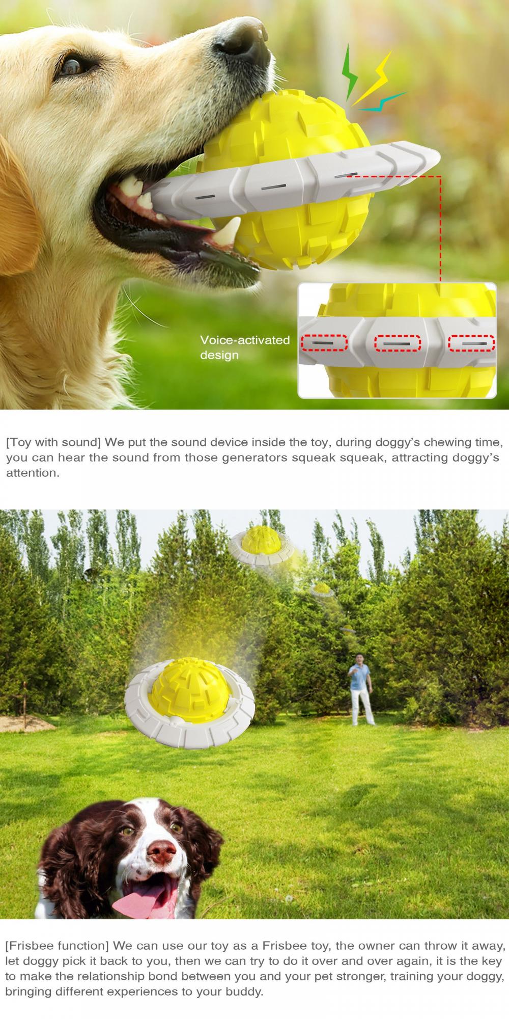 Dog Toy Information 3 Jpg