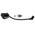 Ignition Coil Module With Spark Plug BM6A For Stihl BG55 BG65 BG85 BG45 BG46 BR45 SH55 SH85 AM42 Leaf Blower Parts#4229 400 1300