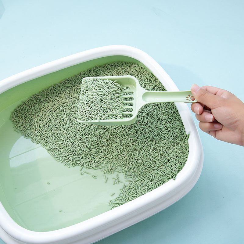 Cat Litter Box Big
