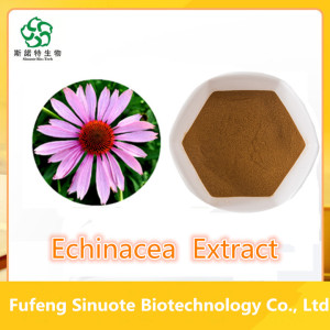 High Quality Echinacea Extract Powder 4% Cichoric Acid