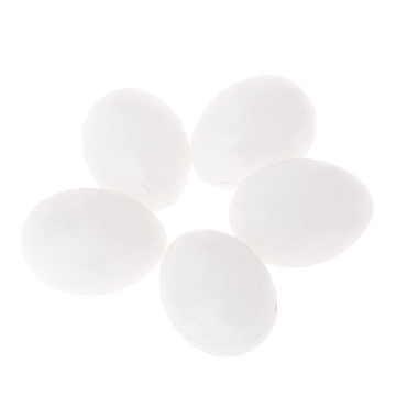 5pcs/lot Pigeon False Eggs Filled Plastic Simulation For Hatch Breeding Supplies #0612