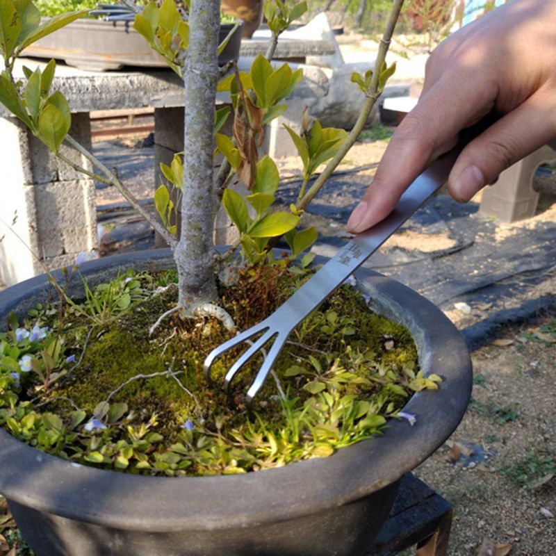 Multifunctional Stainless Steel Gardening Rake Bonsai Root Loosen Soil Spatula