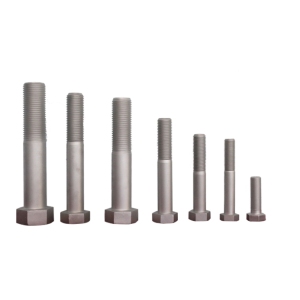 Hexagonal Bolts IS4014/4017 for wind turbine Fasteners