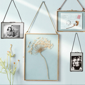 Industrial Style Double Sided Glass Photo Frame Flower Plant Wall Hanging Frame Specimen Portrait Display Holder Home Decors