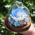 NEW Forever Rose Flower Fresh Festive Preserved Immortal in Glass Creative Gift card holder flores wedding dried