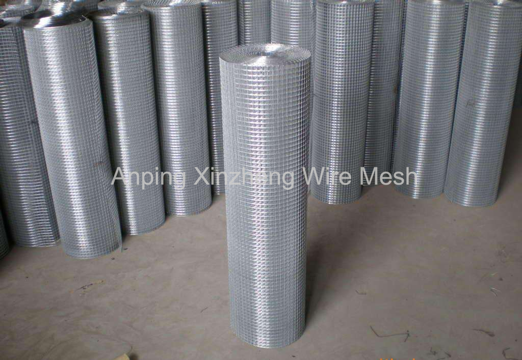 Galvanized Welded Mesh Roll