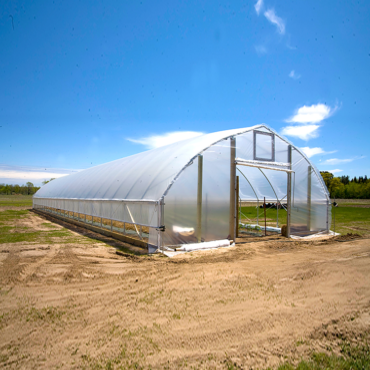 Industrial film greenhouses growing greenhouse metal frame