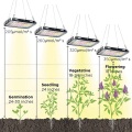 What grow lights do i need for vegetables