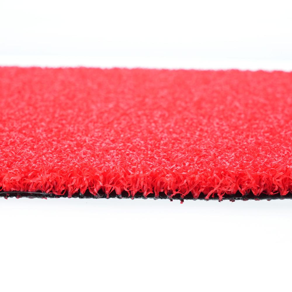 Gym grass