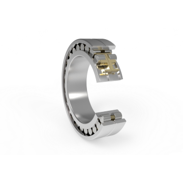 Double Row Cylindrical Roller Bearings