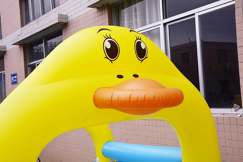 Bounceland Inflatable Duck swimming Pool Inflatable Bounce House