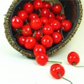 10/20Pcs Funny Kitchen Toys 2.5cm Mini Fake Plastic Fruit Small Berries Artificial Flower Red Cherry For Kids Home decoration