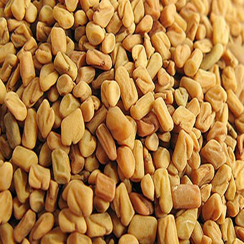 100-1000g Common Fenugreek Seed powder extract 30:1,Semen Trigonellae,trigonellinelline,Fenugreek extract for immunomodulation