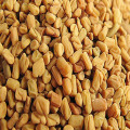 100-1000g Common Fenugreek Seed powder extract 30:1,Semen Trigonellae,trigonellinelline,Fenugreek extract for immunomodulation