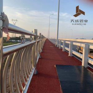 Stainless Steel Composite Pipe Bridge Guardrail Design