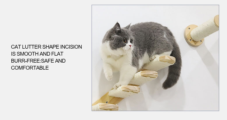 Cat Climbing Detail Jpg
