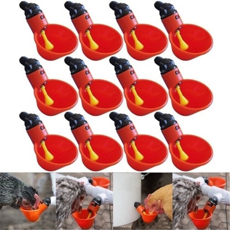 Brand New Feed Automatic Bird Coop Poultry Chicken Fowl Drinker Water Drinking Cups 12Pcs Drop Shipping L*5