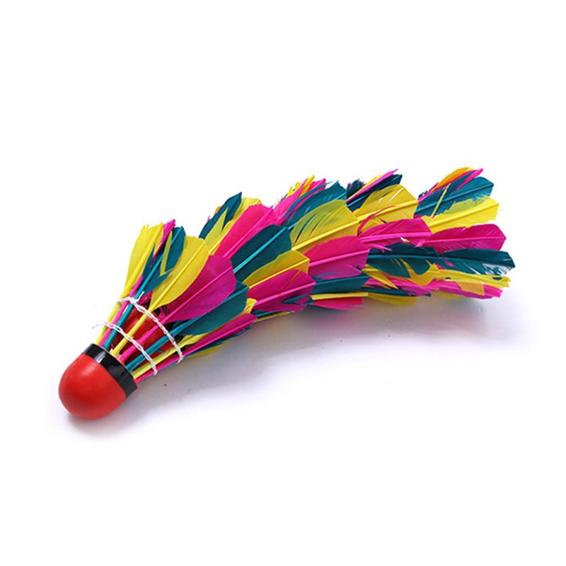 Free shipping 11Pcs/Tube Colorful Badminton Balls Durable Feather Shuttlecock Gym Exercise Sport Training Accessories