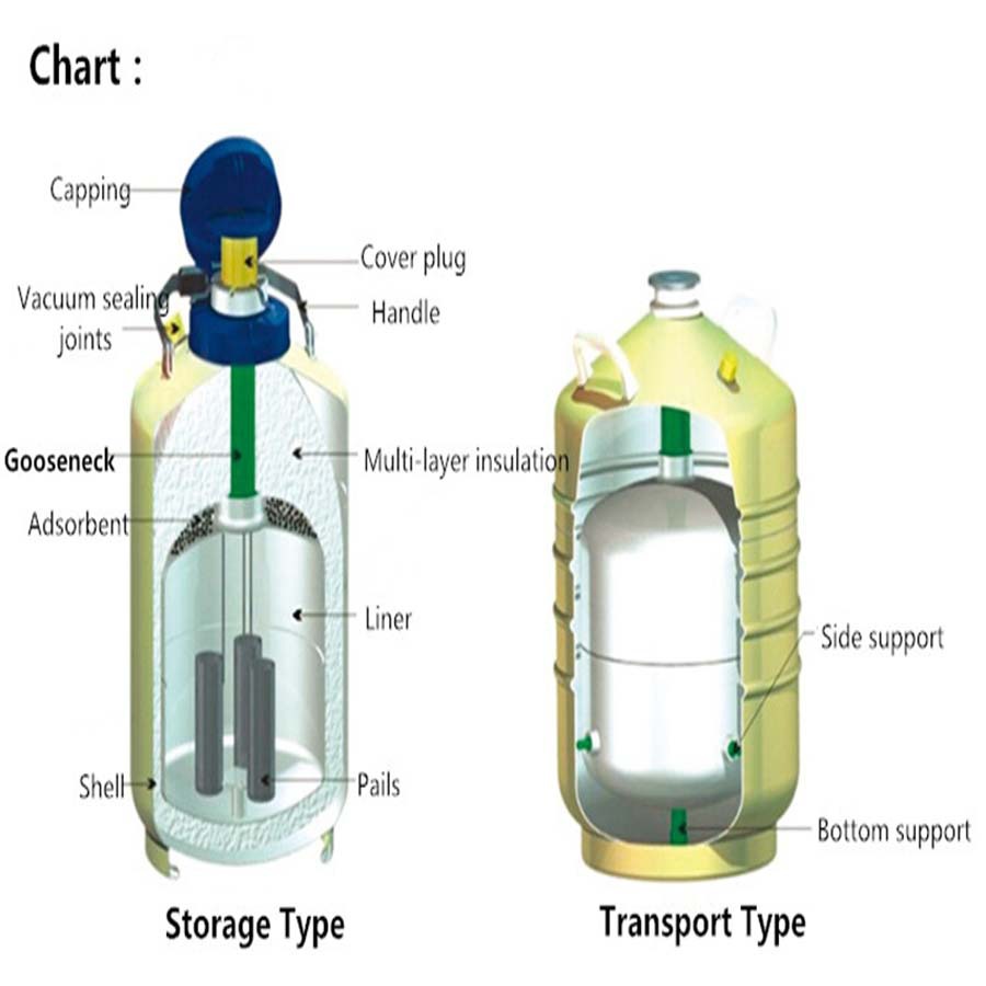 High Quality 10L Liquid Nitrogen Container Cryogenic Tank Dewar Liquid Nitrogen Container YDS-10 Liquid Nitrogen Tank