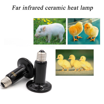 Pet Heat Lamp Heater 25w/50W/75W/100W/150W/200W Reptile Snake Tortoises Lizard Hedgehog Heating Equipment Reptile Supplies