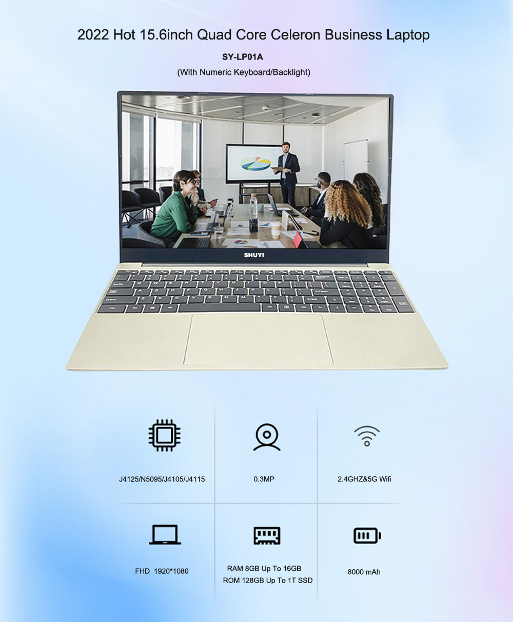 Budget Business Laptop