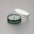 10 pcs/pack 60mm Boro Glass Petri Dishes Affordable For Cell Clear Sterile Chemical Instrument Culture Dish Lab Supplies
