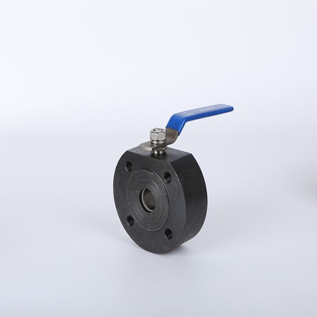 Wafer Check Valve-1 (4)