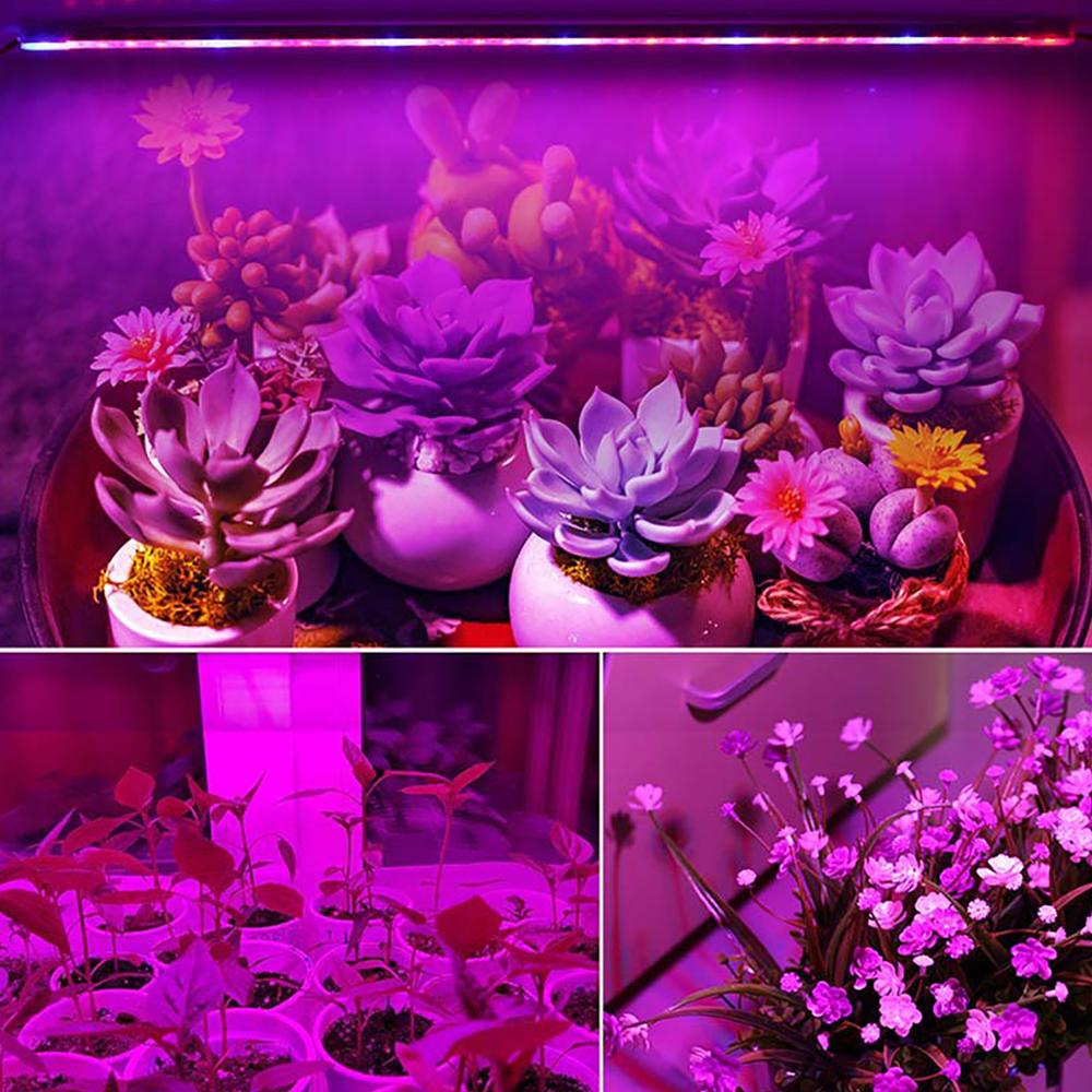 Phytolamps Full Spectrum LED Grow light T5 Tube Bulb Seedling lamp For Plants Vegetable Flower Seeds Grow Tent Box lighting