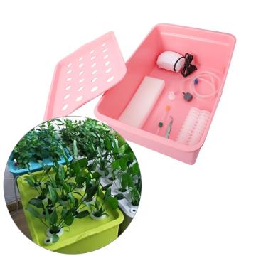 220V 110V Air Pump 24 Hole Hydroponic Soilless Growing Box Plants Vegetables Seeding Cultivation Nursery Pots 1 Set