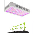 Full Spectrum Growth Lamp 1200w 1000w 600w