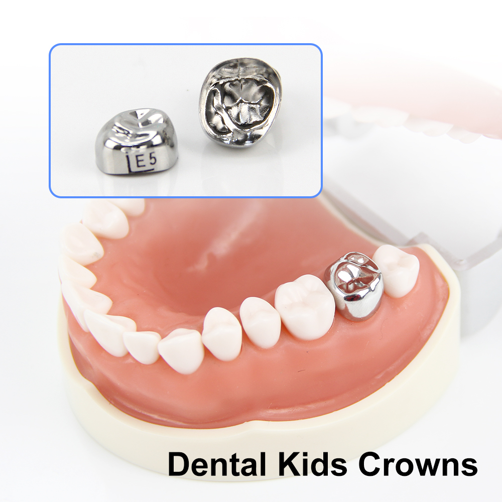 Dental Stainless Steel Molar Crowns
