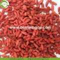 Factory Fruits Dried Red Anti Age Goji Berry