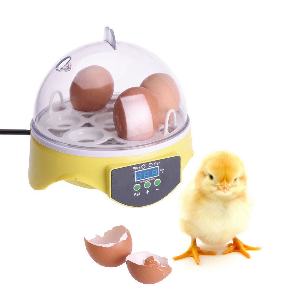 Mini 7 Egg Incubator Poultry Incubator Brooder Digital Temperature Hatchery Egg Incubator Hatcher Chicken Duck Bird Pigeon