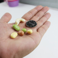 10 pcs Fake Cashew Decoration Artificial Fruit Nuts for Home Party Kitchen Shop Learning Food Props