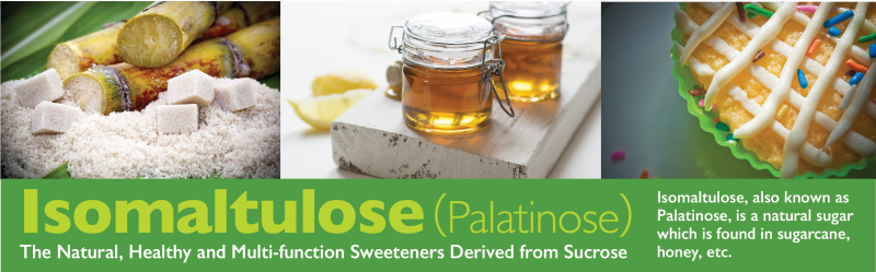 Isomaltulose15