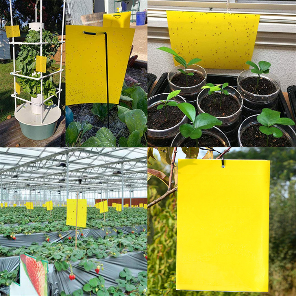 10/20/30pc Double-Sided Yellow Sticky Trap For Flying Plant Insect Gardening Tools Double-Sided Shellac Pest Control Trap c50
