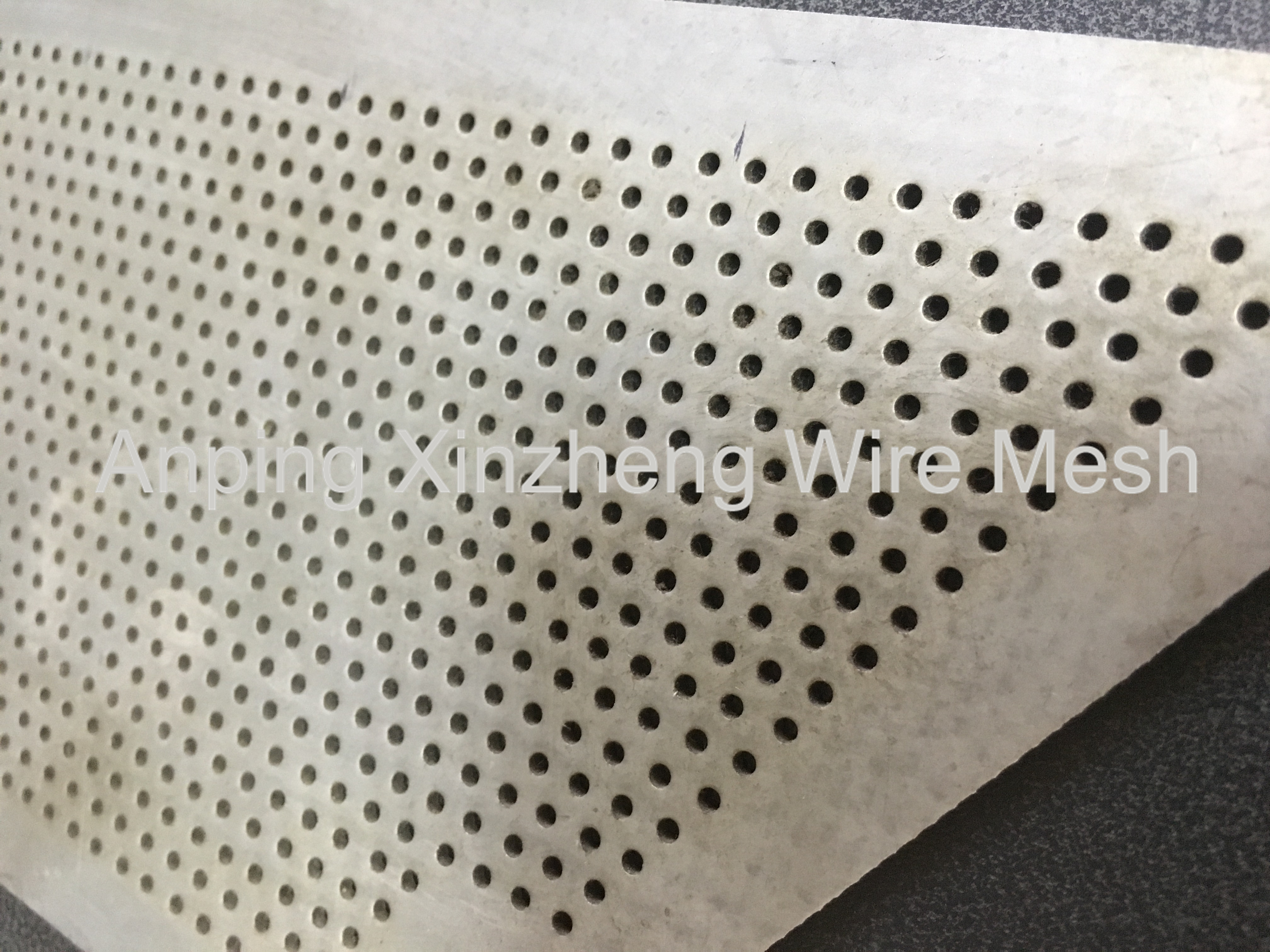 Stainless Steel Perforated Sheets