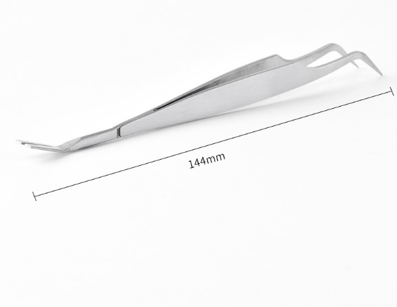 Tweezers Size Jpg