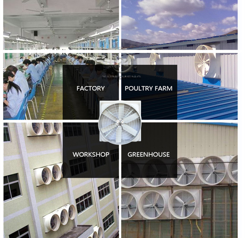 Axial extractor fan