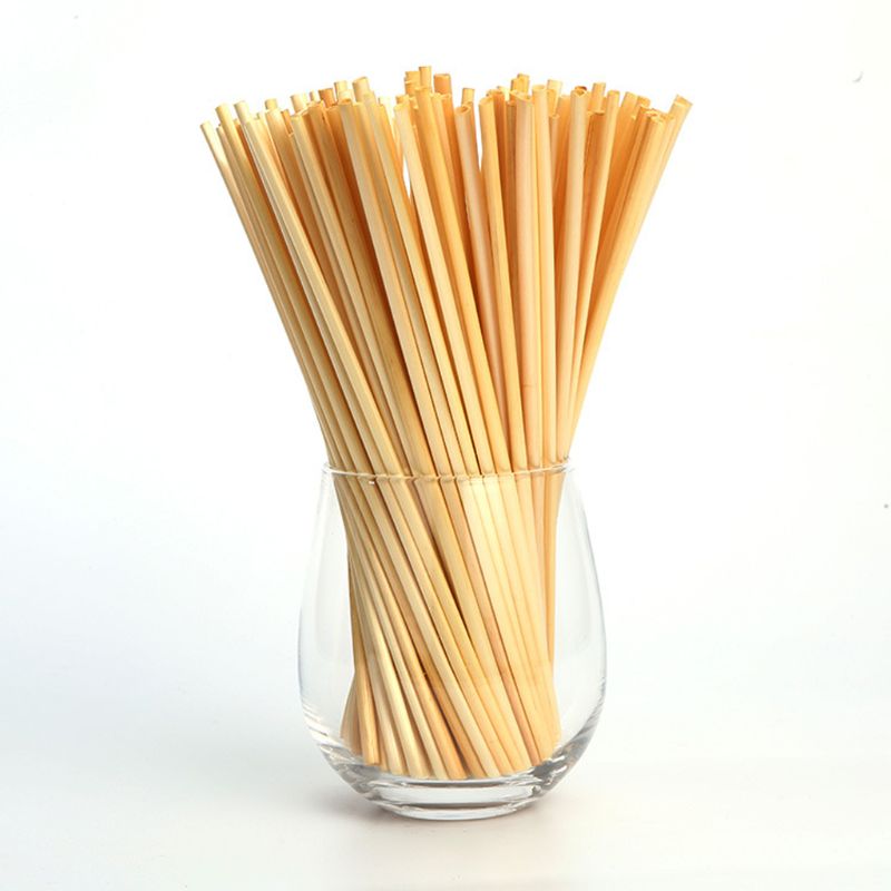 600Pcs Biodegradable Wheat Drinking Straws Flavorless BPA-Free Compostable Straw 449C